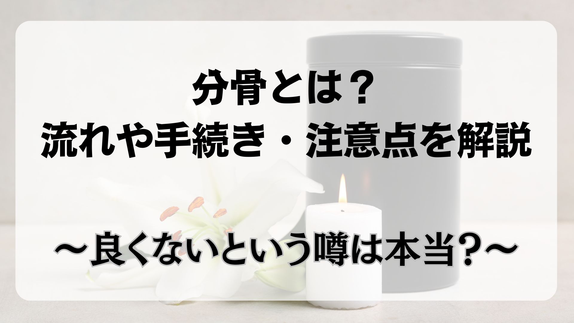 分骨とは　手続き　流れ　注意点